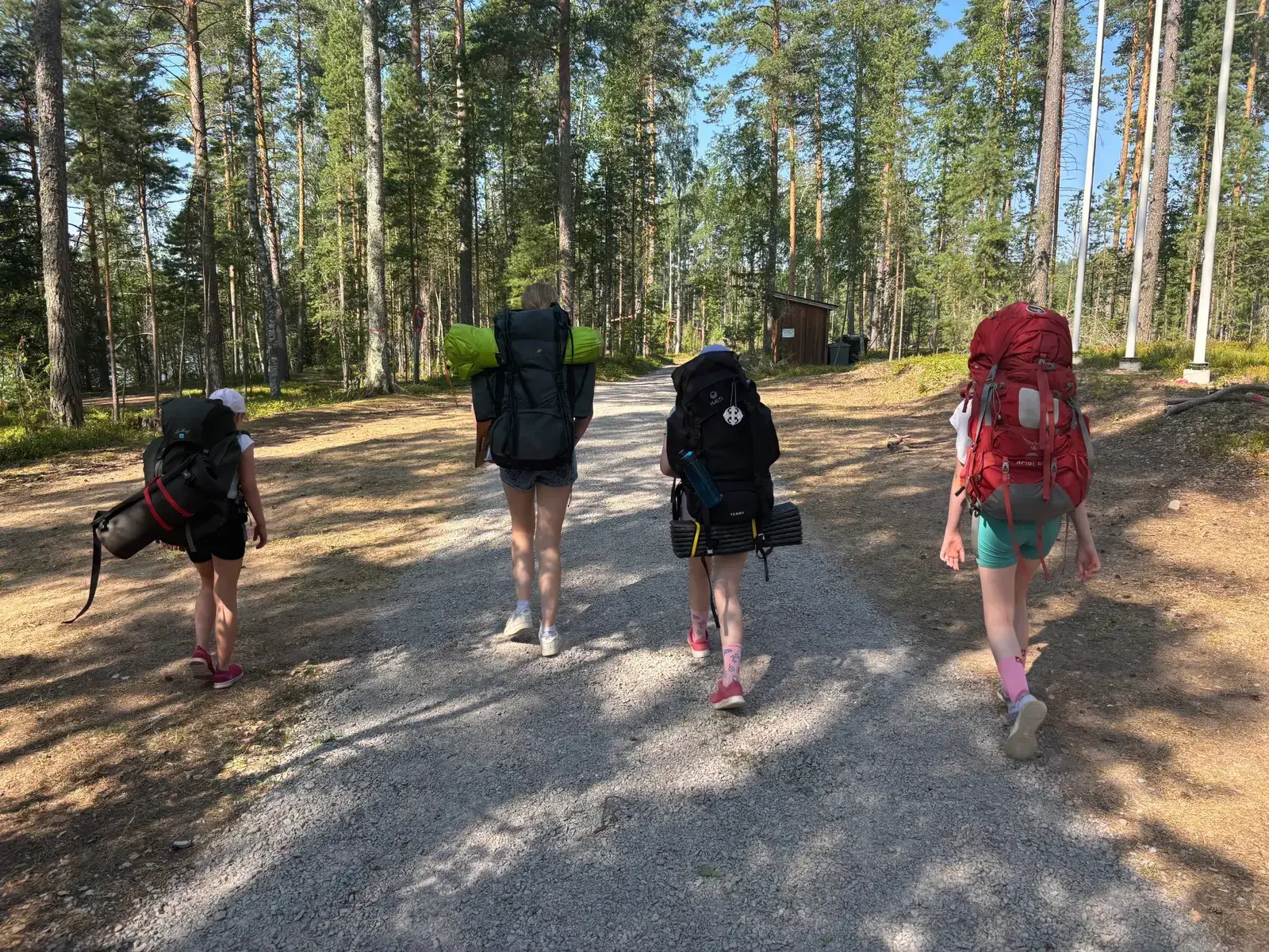 Partiolaisia retkellä metsässä